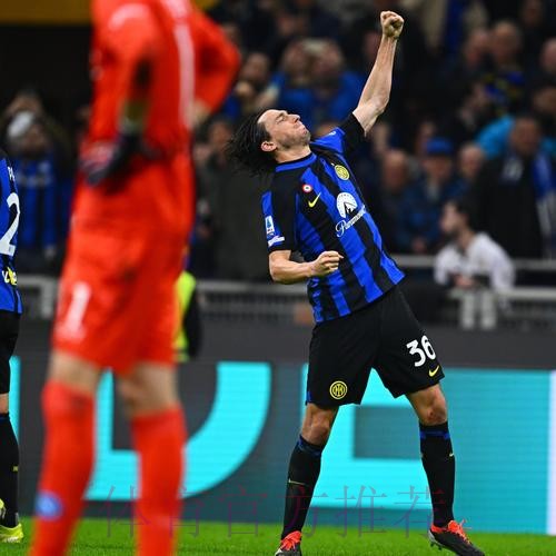 艾尔马斯助攻，麦克托米奈包抄破门，国米1-1那不勒斯